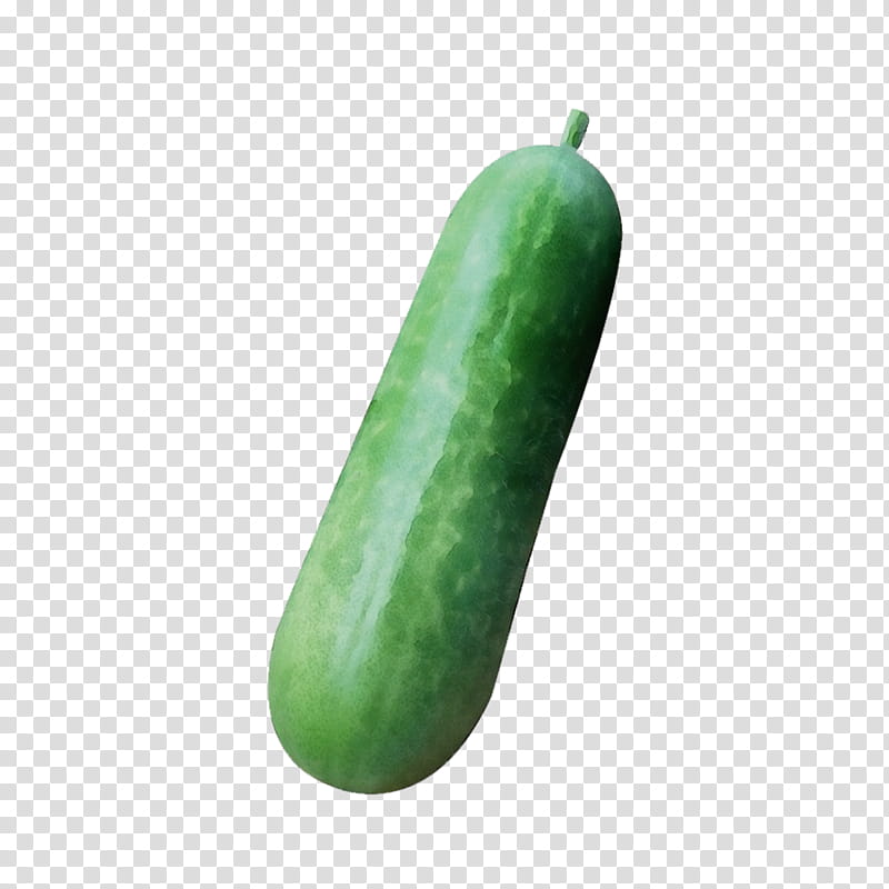 Vegetable, Cucumber, Wax Gourd, Cucumber M, Melon, Fruit, Green, Plant transparent background PNG clipart