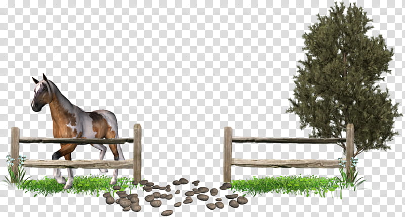 Fence, Horse, Blog, 2018, Email, Text, Tree, English Riding transparent background PNG clipart