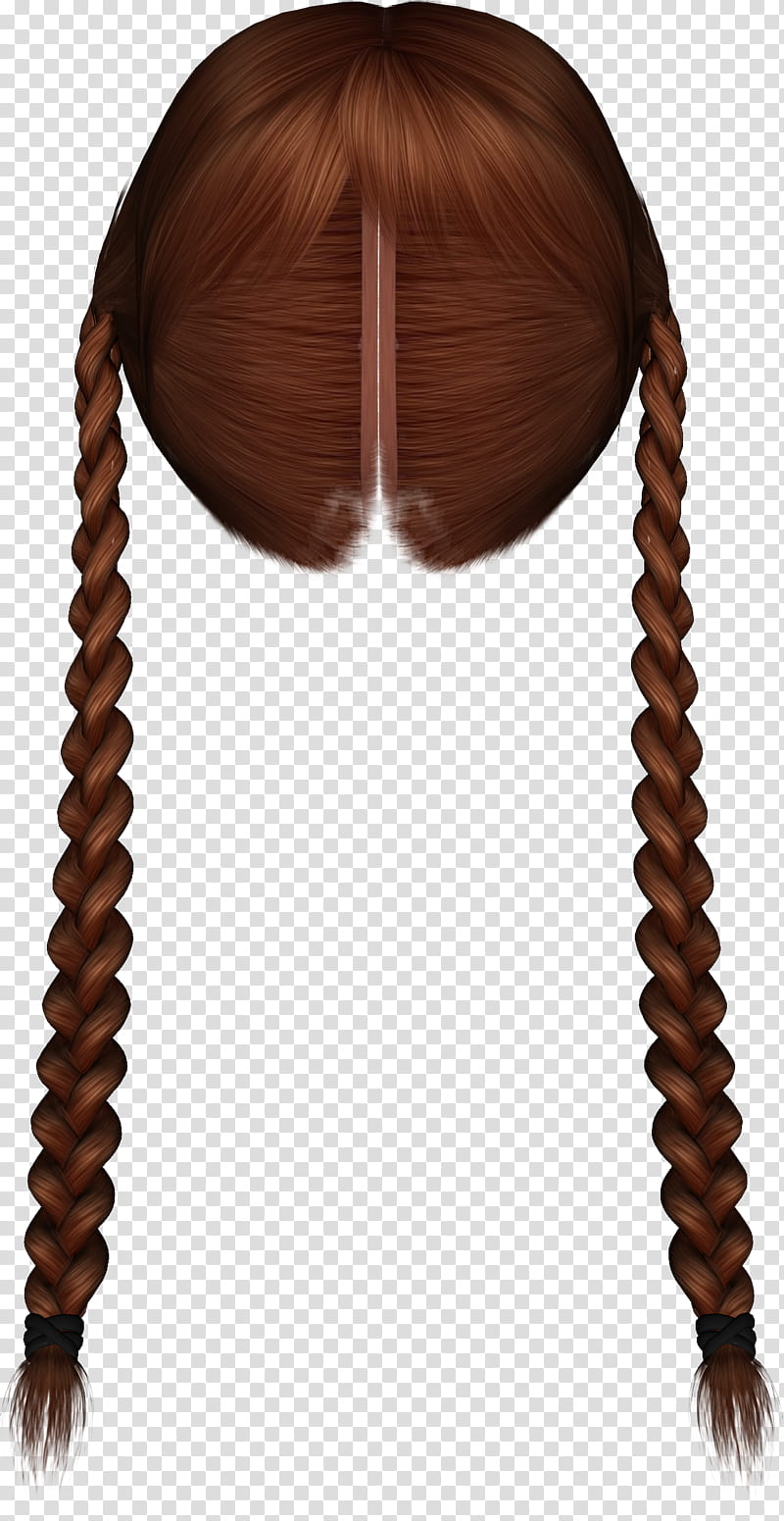 Hairstylez , brown braided hair illustration transparent background PNG clipart