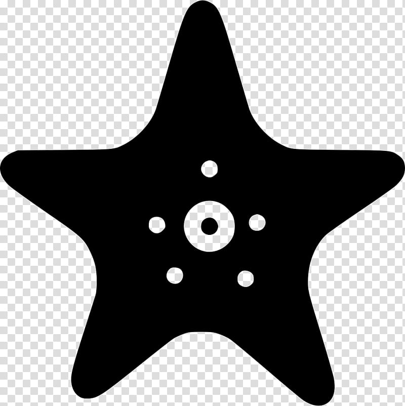 White Star, Data, Hyperlink, Symbol, Black, Black And White
, Line, Starfish transparent background PNG clipart