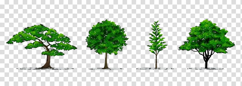 Arbor day, Watercolor, Paint, Wet Ink, Tree, Green, Plant, Woody Plant transparent background PNG clipart