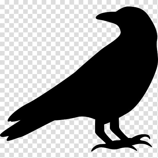 Bird Silhouette, Common Raven, Crow, Beak, Crowlike Bird, Perching Bird transparent background PNG clipart