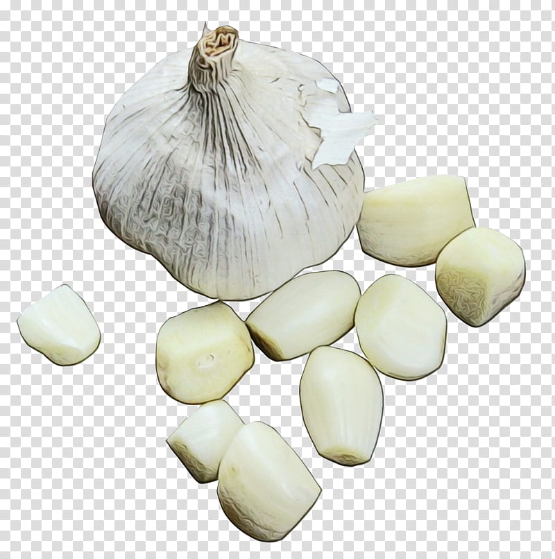 Onion, Garlic Bread, Garlic Knot, Black Garlic, Elephant Garlic, Solo Garlic, Food, Vegetable transparent background PNG clipart