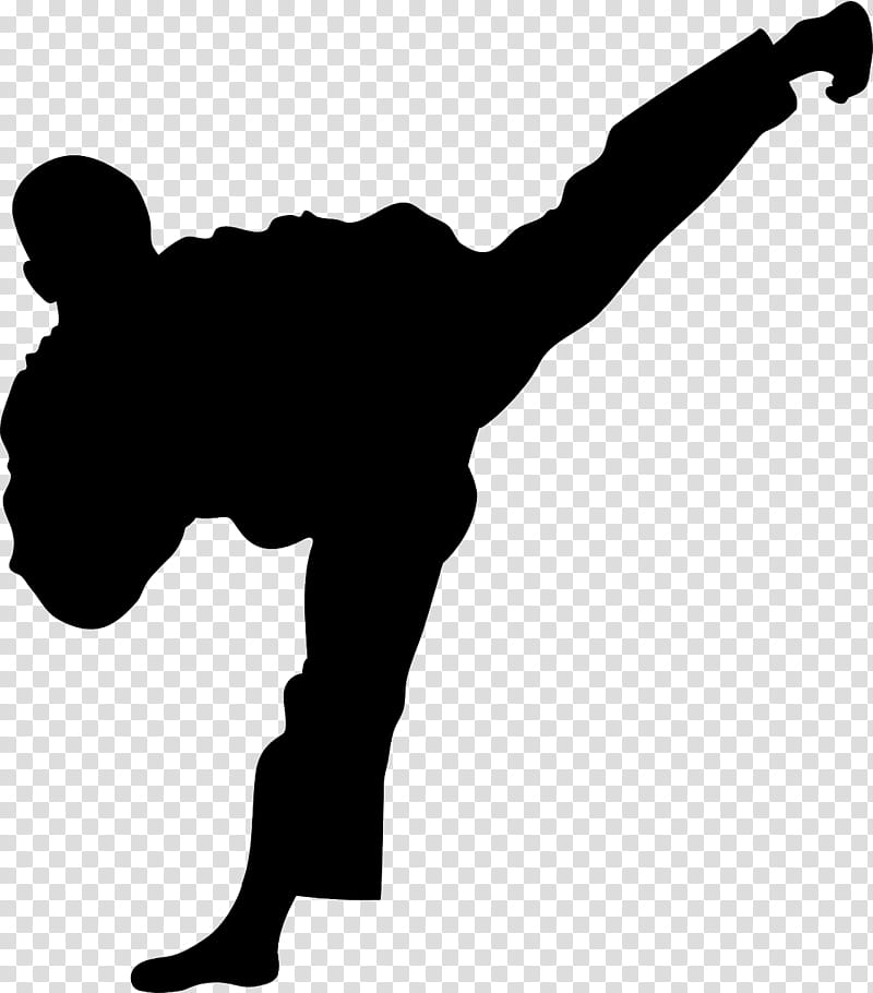 Taekwondo, Martial Arts, Karate, Kick, Black Belt, Sports, Sensei, Kickboxing transparent background PNG clipart