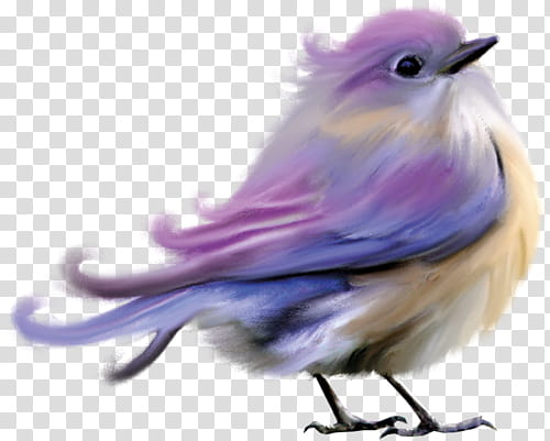 purple and brown bird art transparent background PNG clipart