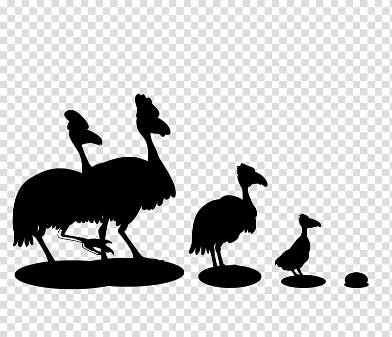 Duck, Common Ostrich, Emu, Beak, Silhouette, Chicken As Food, Flightless Bird, Ratite transparent background PNG clipart