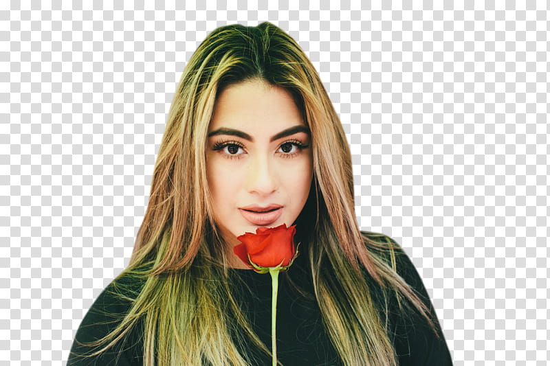 Ally Brooke , Ally Brooke  () icon transparent background PNG clipart