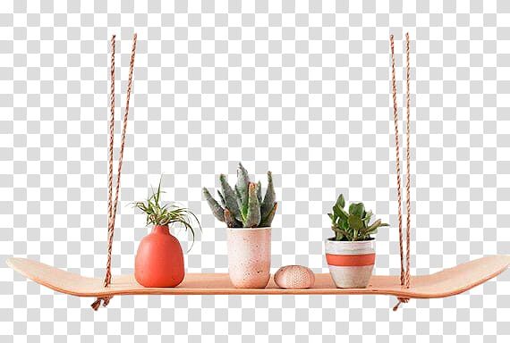 , green leafed plants with vases on hanging rack transparent background PNG clipart