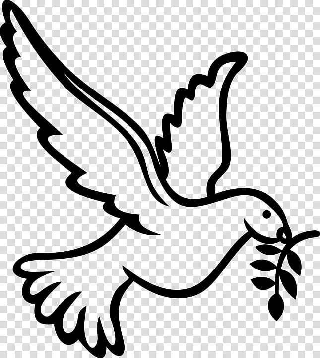 Bird Line Drawing, Pigeons And Doves, Silhouette, Peace, Peace Symbols, White, Head, Coloring Book transparent background PNG clipart