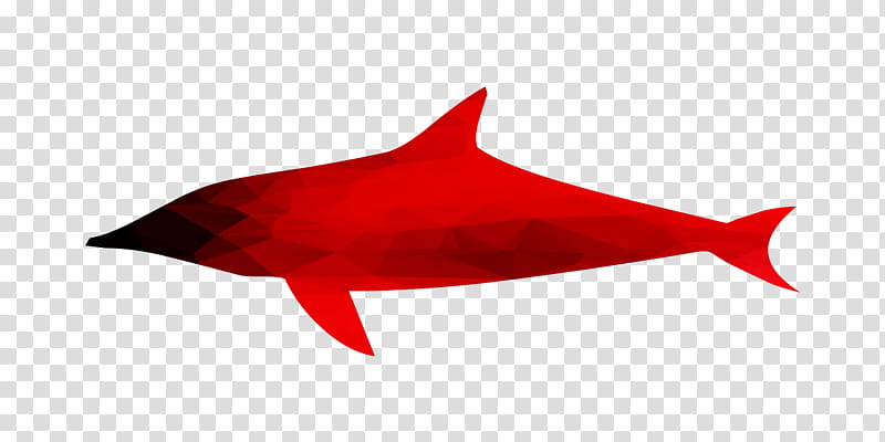 Shark Fin, Biology, Dolphin, Fish, Red transparent background PNG clipart