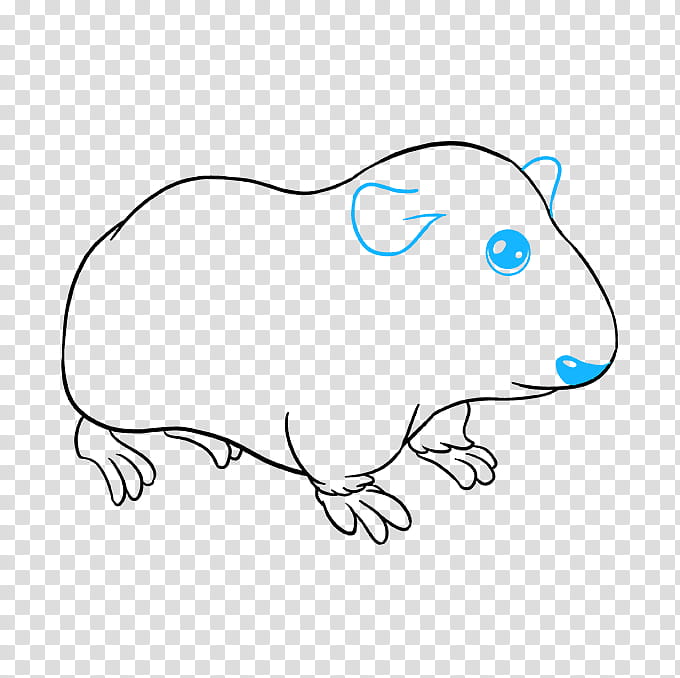 Pig, Rat, Drawing, Rodent, Skinny Pig, Cartoon, Line Art, Hippopotamus transparent background PNG clipart