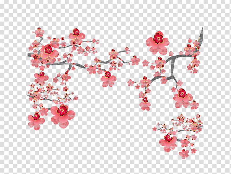 Cherry blossom, Flower, Pink, Red, Plant, Branch, Spring
, Petal transparent background PNG clipart