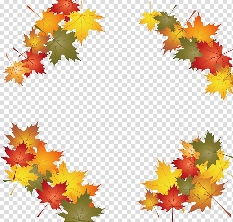 Gum Tree, Japanese Maple, Leaf, Autumn, Maple Leaf, Yellow, Black Maple, Plant transparent background PNG clipart