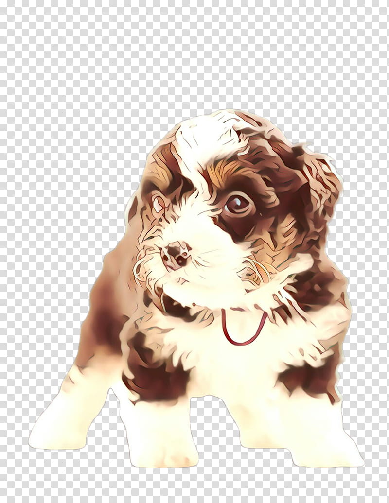 Cute Dog, Pet, Animal, Dog Breed, Havanese Dog, Puppy, Companion Dog, Spaniel transparent background PNG clipart