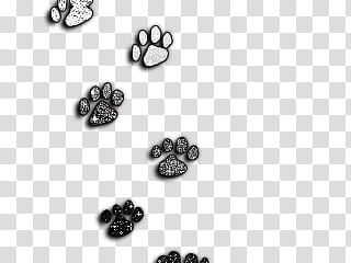 Huellas, five dog paws illustration transparent background PNG clipart