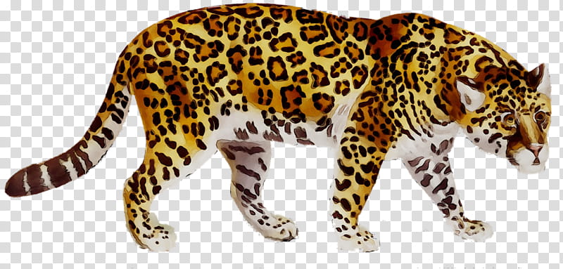 Cars, Jaguar, Leopard, Jaguar Cars, Cheetah, Tiger, Ocelot, Cat transparent background PNG clipart