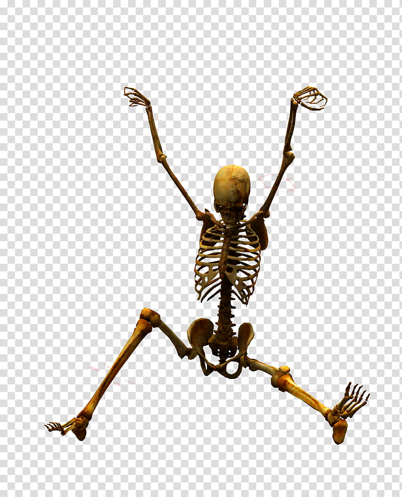 E S Bones II, brown skeleton illustration transparent background PNG clipart