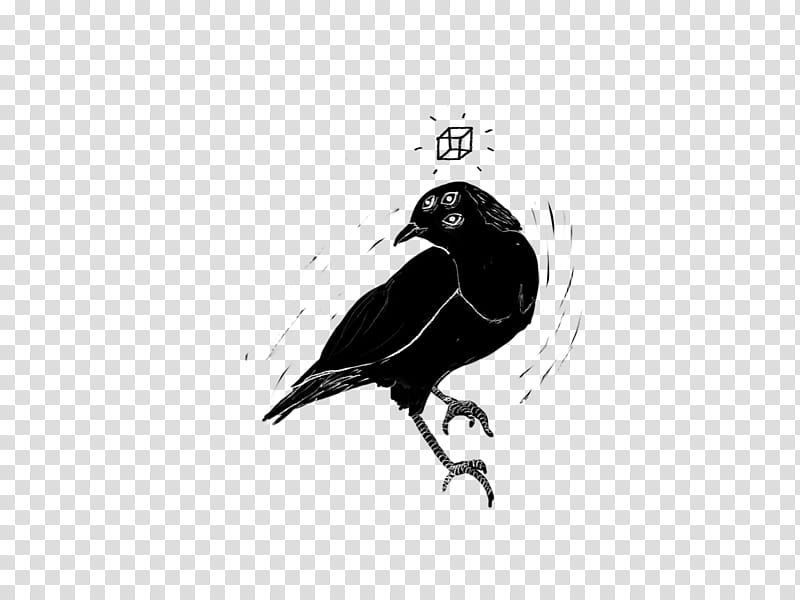 Love Black And White, American Crow, Drawing, Ink, Beak, Typography, Common Blackbird, Black And White
, Crow Like Bird, Feather transparent background PNG clipart