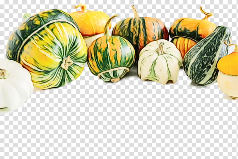 vegetable food fruit plant natural foods, Watercolor, Paint, Wet Ink, Winter Squash, Vegetarian Food, Cucurbita, Acorn Squash transparent background PNG clipart