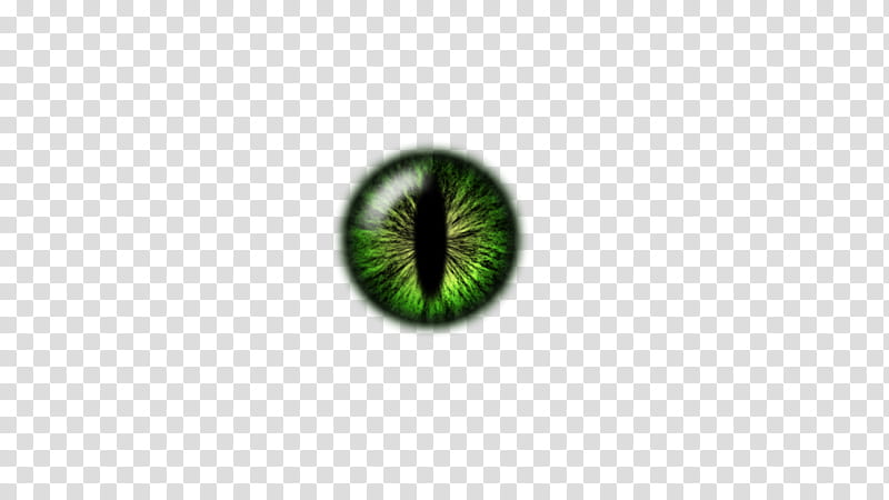IRIS, green eye transparent background PNG clipart