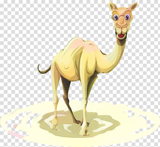 Llama, Dromedary, Camel Train, Desert, Cartoon, Joe Camel, Drawing, Camelid transparent background PNG clipart