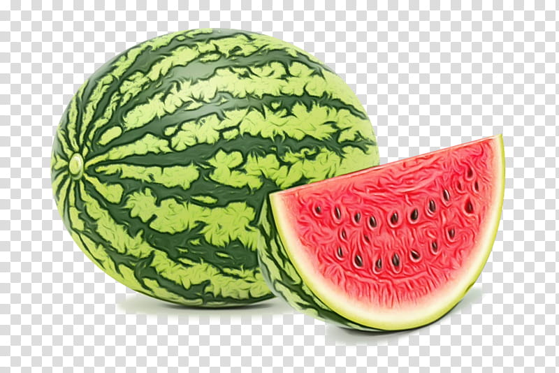 Watermelon, Watercolor, Paint, Wet Ink, Fruit, Food, Plant, Superfood transparent background PNG clipart