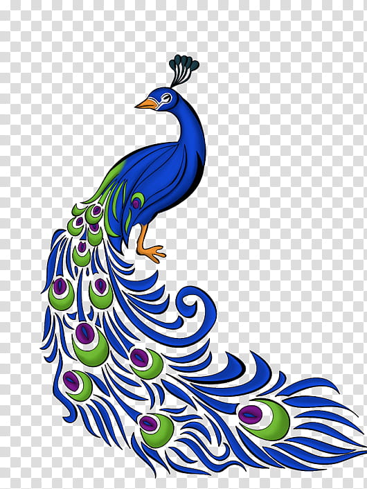 peacock dancing sketch