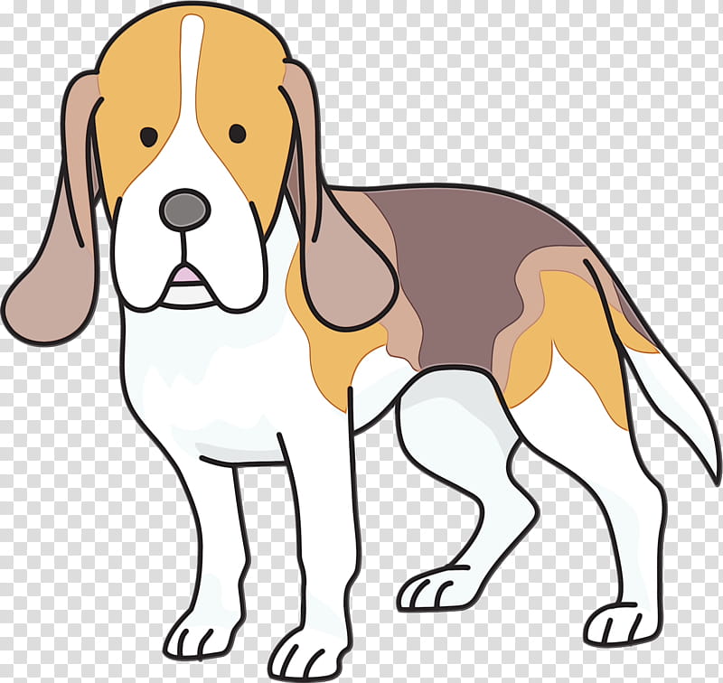 dog dog breed english foxhound beagle-harrier finnish hound, Watercolor, Paint, Wet Ink, Beagleharrier, Artois Hound transparent background PNG clipart