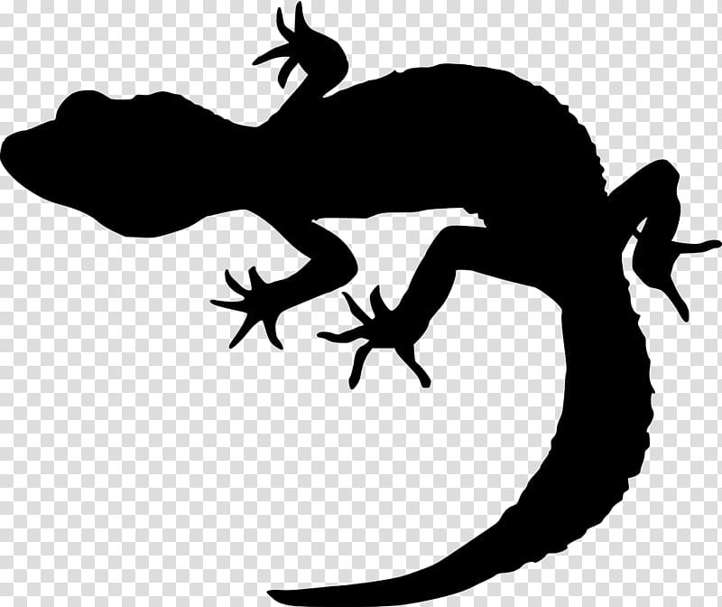 Gecko True Salamanders And Newts, Silhouette, Lizard, Black White M, Line, Reptile, Wall Lizard, Tail transparent background PNG clipart