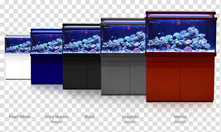 Coral Reef, Red Sea Max S650, Reef Aquarium, Red Sea Reefer 350, Red Sea Reefer 250, Red Sea Reefer 450, Red Sea Max C250, Red Sea Reefer Xl 525 transparent background PNG clipart