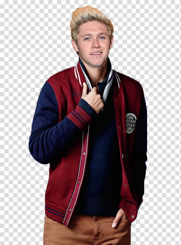 Niall Horan Old School manipulation transparent background PNG clipart
