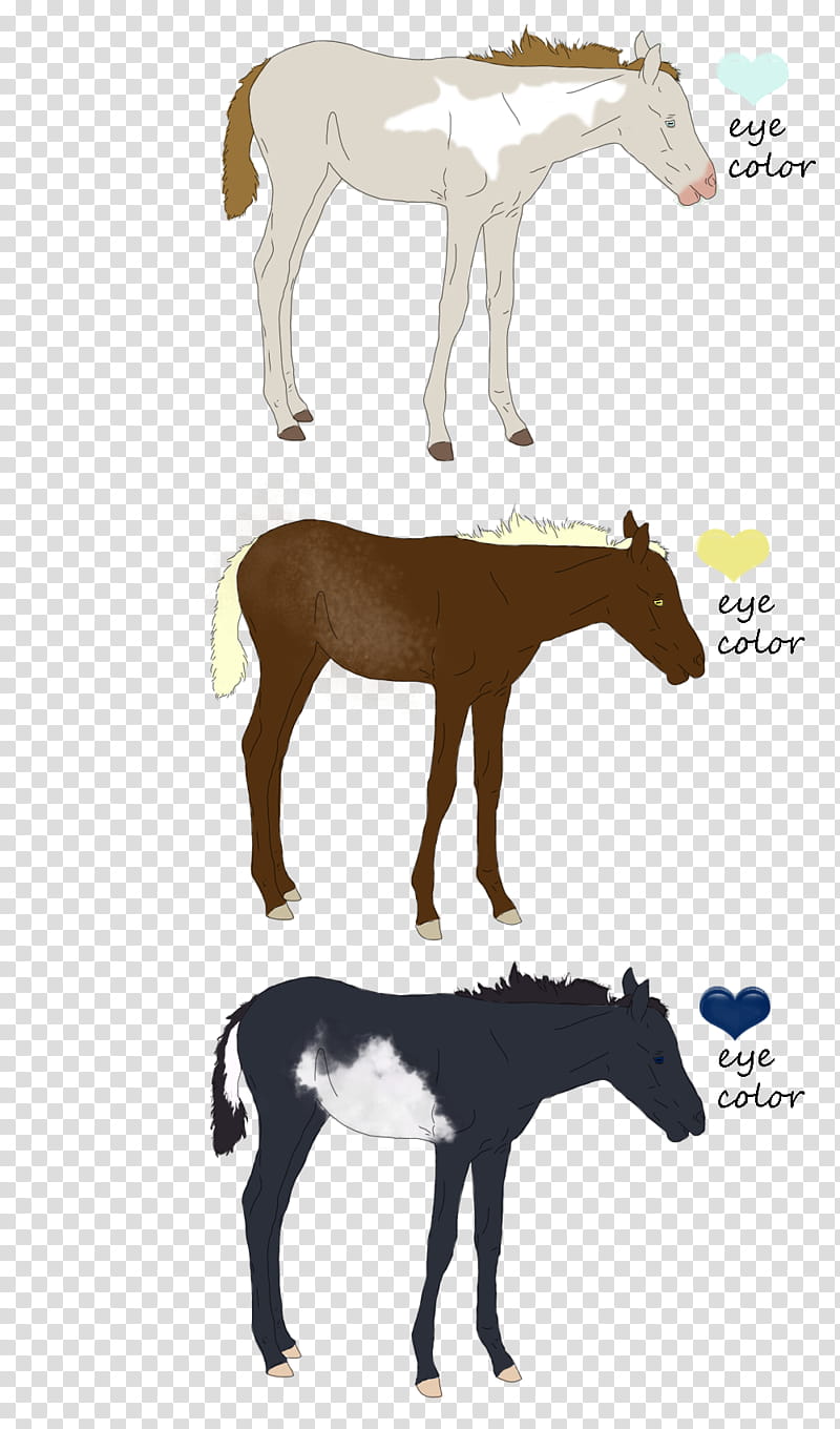 Adoptables Round  CLOSED, three assorted-color horse stickers transparent background PNG clipart