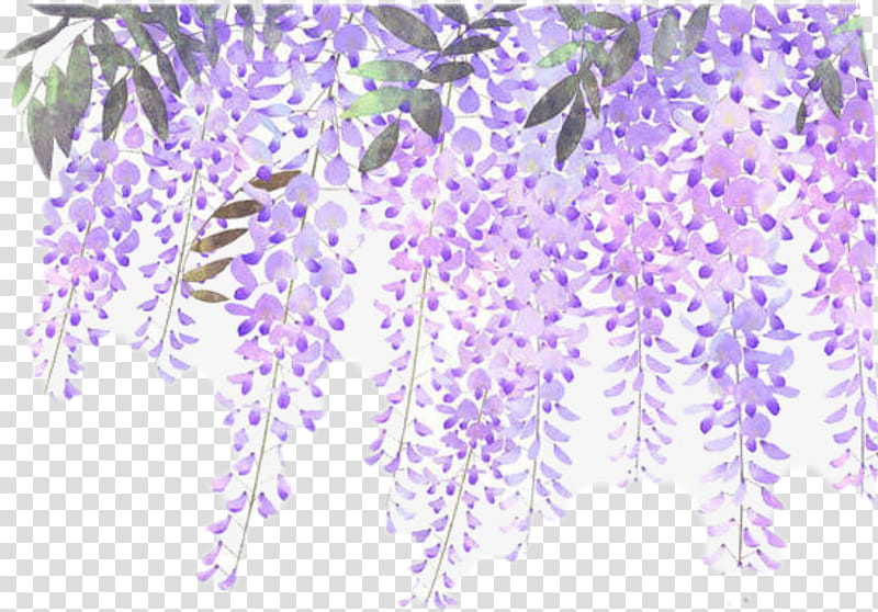 Purple Flower Wreath, Lavender, Floral Design, Lilac, Blue, Mauve, Wisteria, Violet transparent background PNG clipart