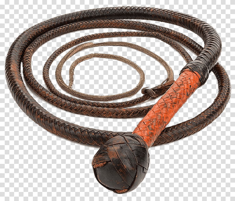 River, Indiana Jones, Henry Jones Sr, Whip, Whipcracking, Film, Bullwhip, Mighty Muggs transparent background PNG clipart