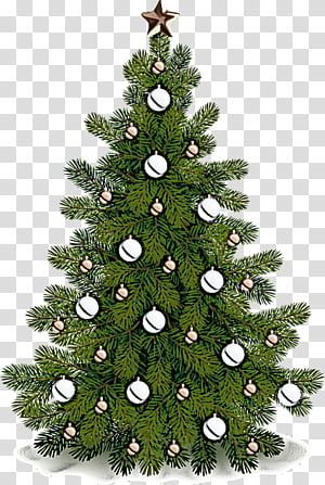 Christmas tree, Balsam Fir, Shortleaf Black Spruce, Colorado Spruce, White Pine, Yellow Fir, Christmas Decoration, Oregon Pine transparent background PNG clipart thumbnail