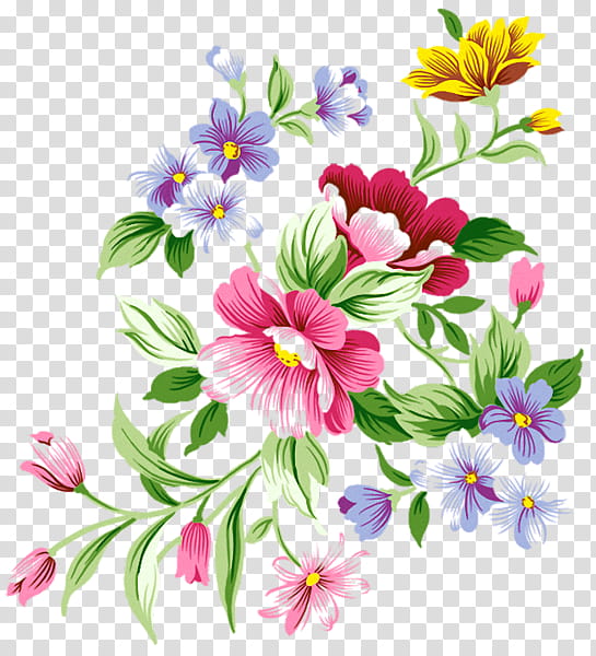 NATURE S ARCHIVES, yellow and pink petaled flowers transparent background PNG clipart