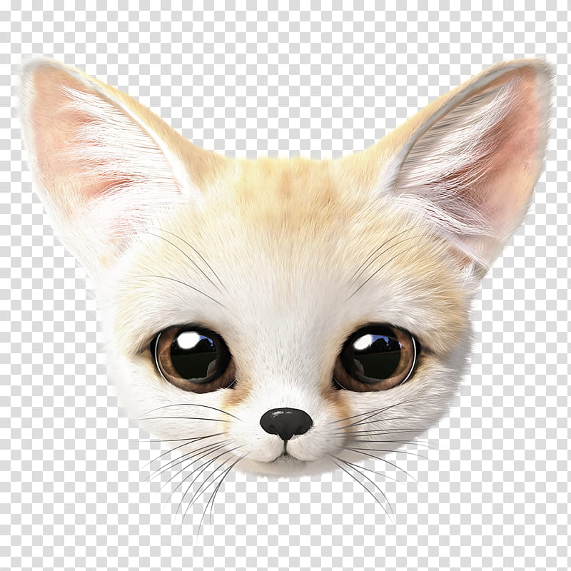 cat whiskers fennec fox small to medium-sized cats head, Small To Mediumsized Cats, Snout transparent background PNG clipart