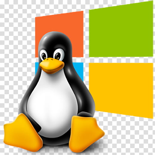 Penguin, Linux, Computer Servers, Ubuntu, Virtual Private Server, Operating Systems, Linux Kernel, Installation transparent background PNG clipart