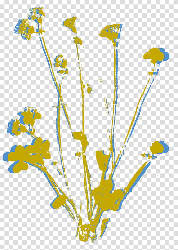 Flowers, Literacy Connects, Flora, Floral Design, Cut Flowers, Plant Stem, Plants, Tucson, Emily Dickinson, Edgar Allan Poe transparent background PNG clipart