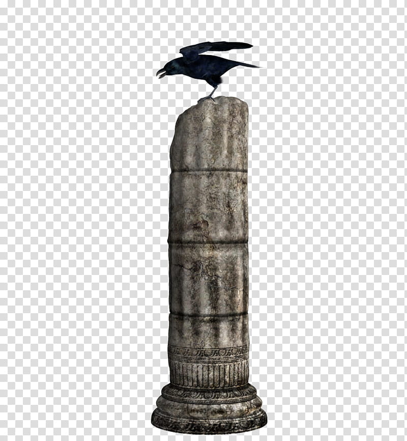 TWD Crows and ruins, crow perched on gray concrete column transparent background PNG clipart
