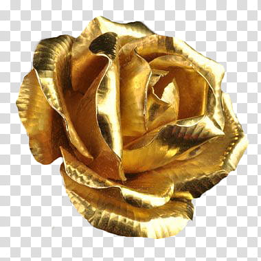 Golden Touch, gold-colored rose illustration transparent background PNG clipart