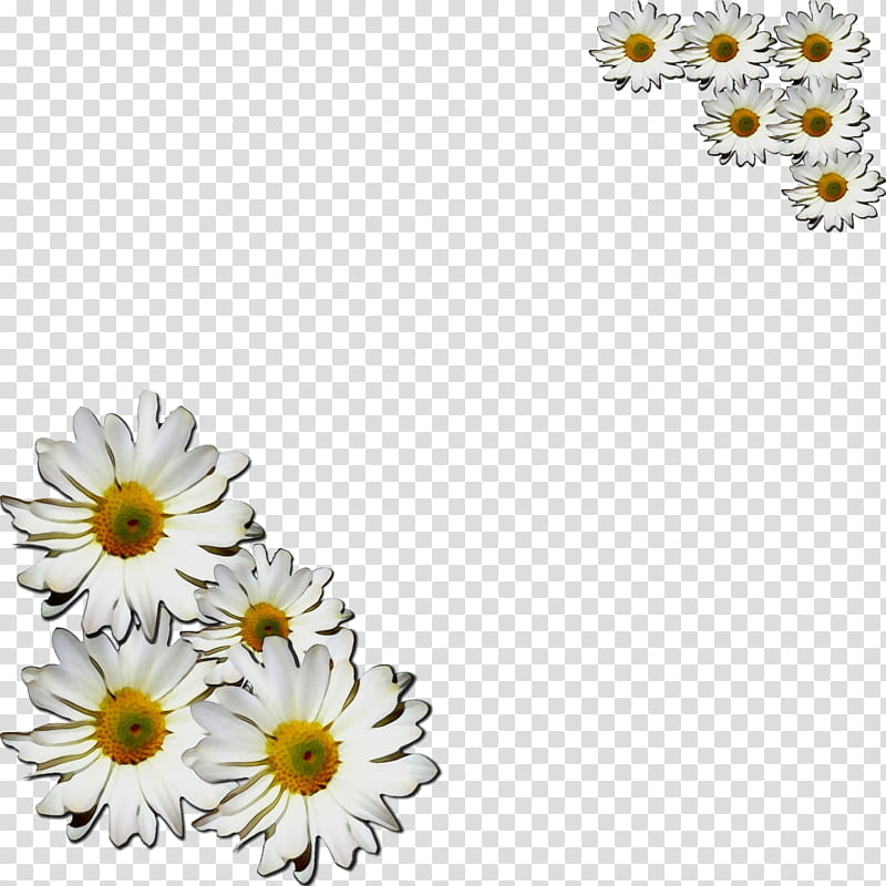 Flowers, Watercolor, Paint, Wet Ink, Common Daisy, BORDERS AND FRAMES, Oxeye Daisy, Chrysanthemum transparent background PNG clipart
