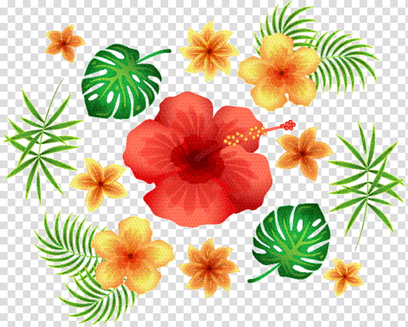 Hawaiian Flower, Rosemallows, Floral Design, Annual Plant, Plants, Hawaiian Hibiscus, Petal, Leaf transparent background PNG clipart