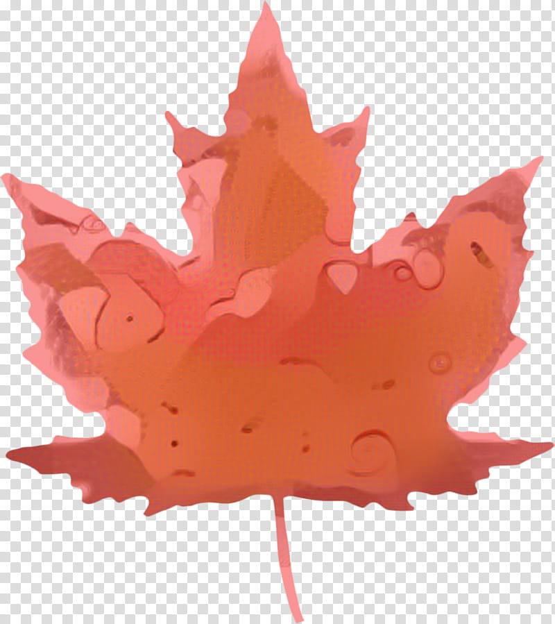 Canada Maple Leaf, Election, Voting, Politics, General Election, Political Party, Election Day, Political Campaign transparent background PNG clipart