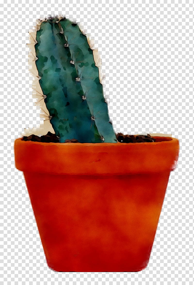 Cactus, Flowerpot, Acanthocereus Tetragonus, Houseplant, Caryophyllales, Succulent Plant, Hedgehog Cactus, Thorns Spines And Prickles transparent background PNG clipart