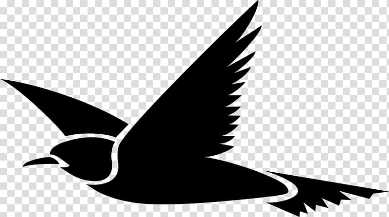 Swallow Bird, Beak, Swans, Goose, Silhouette, Duck, Water Bird, Singing Bird Box transparent background PNG clipart