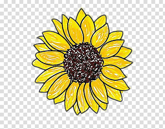 Drawing Of Family, Sunflower, Pencil, 2018, Howto, Coloring Book, Doodle, Tutorial transparent background PNG clipart