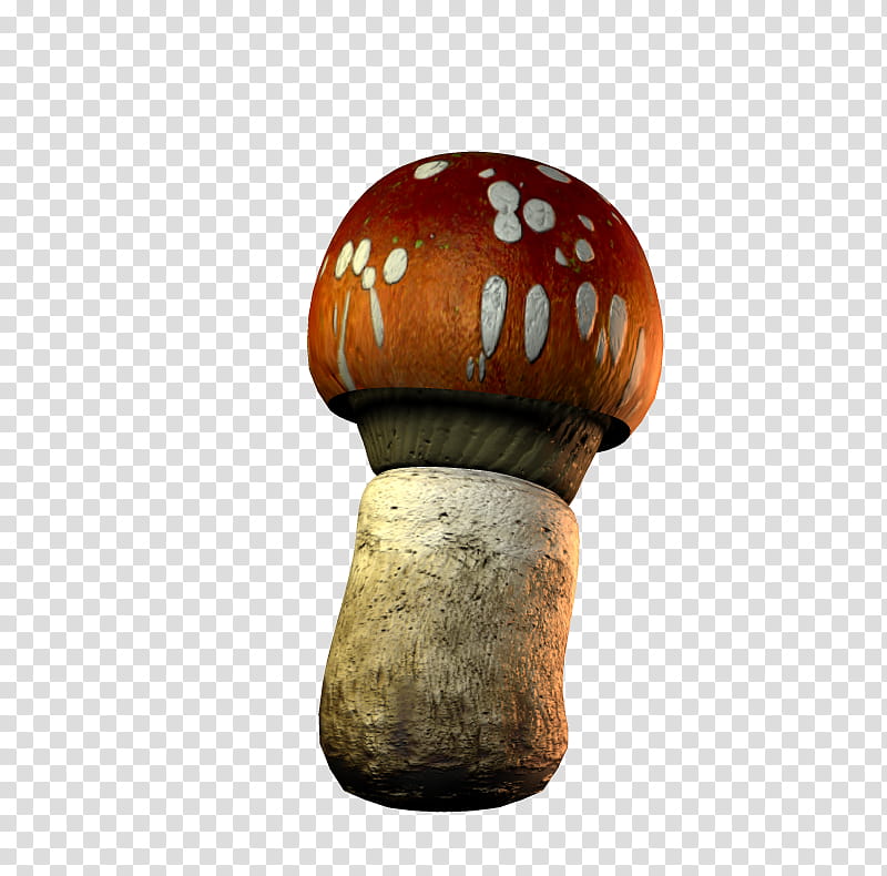 E S Mushrooms, brown and white mushroom illustration transparent background PNG clipart