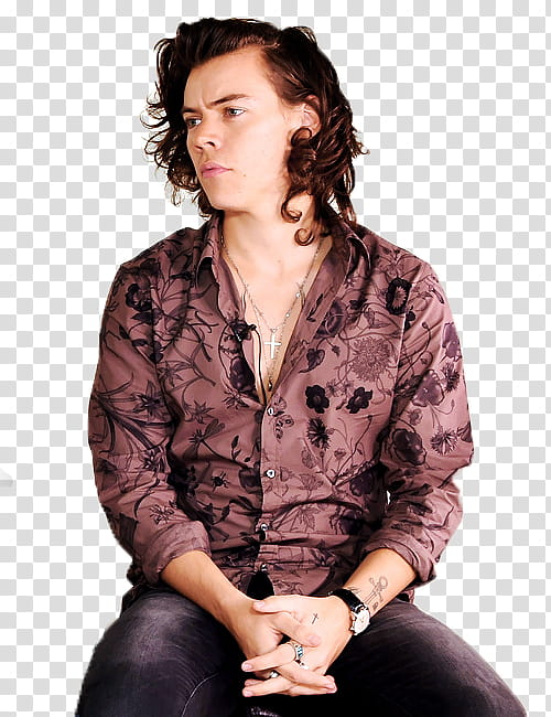 Harry Styles transparent background PNG clipart