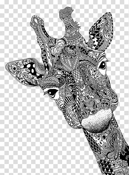 Miscellaneous s, white and black giraffe illustration transparent background PNG clipart